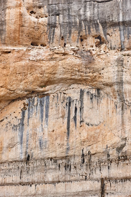 Preview: Several vultures in the rocky mountain hollows. Hoces del Beteta