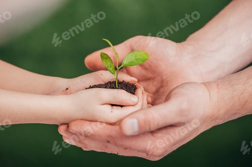 Preview: cropped view of man holding child hands with young plant on blurred background, earth day concept
