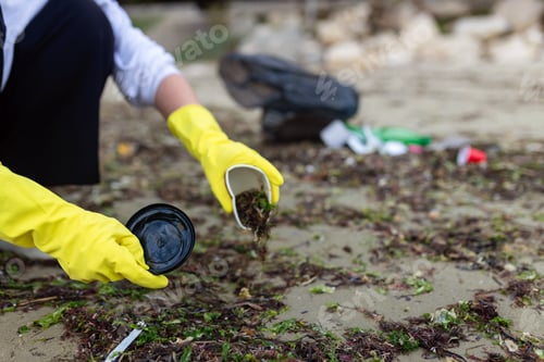 Preview: Hands in yellow gloves collecting plastic cup waste during beach cleanup,