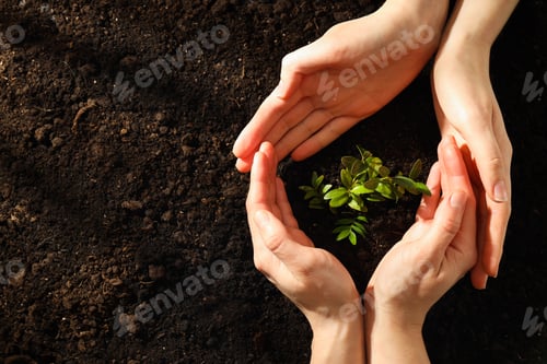 Preview: Earth Day, Environment and Eco concept, space for text