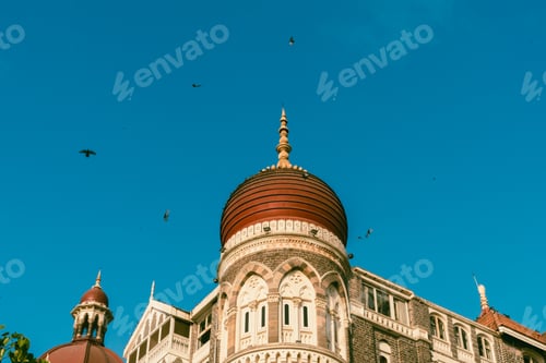 Preview: large building on top of tree with birds flying by it