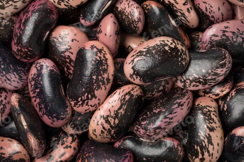 Preview: Large scarlet runner beans
