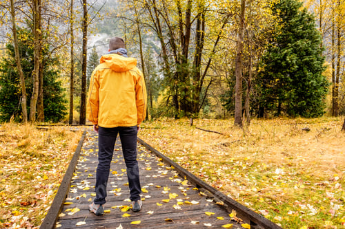 Preview: Tourist Hiking In Yosemite National Park At Cloudy Autumn Morning. Fallen Yellow Autumn Leaves On