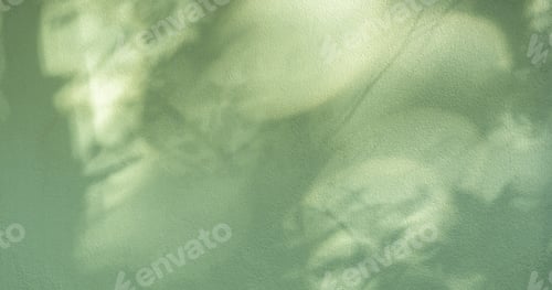 Preview: Shadow light blurred leaves overlay on green concrete wall room texture background well free space