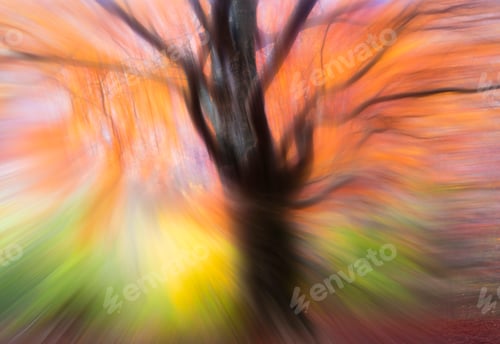 Preview: Blurred trees in forest