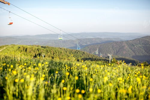 Preview: Carpathian mountains in Ukraine