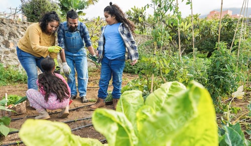 Preview: Indian family picking up organic vegetables from house garden outdoor