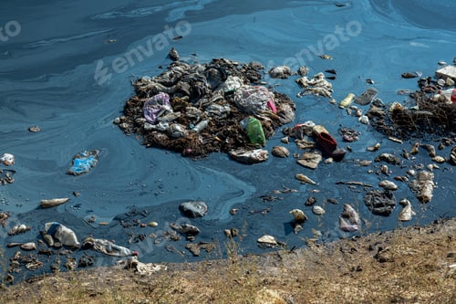 Preview: Close up of toxic pond with trash