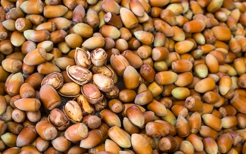 Preview: Hazelnuts. Stack of hazelnuts. Food background. Hazelnut background