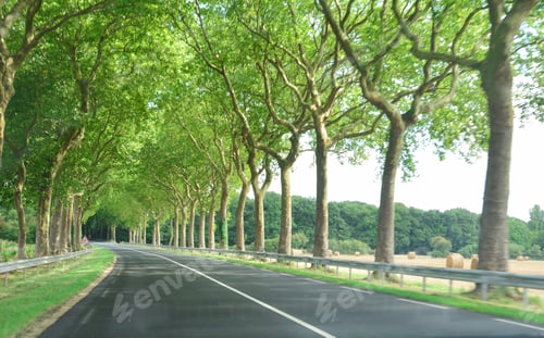 Preview: View of the road and forest through the windshield of the car Sunshine