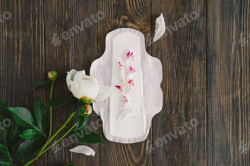 Preview: Menstruation period concept. Hygienic white female pad.
