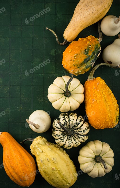 Preview: Decorative pumpkin on green background.
