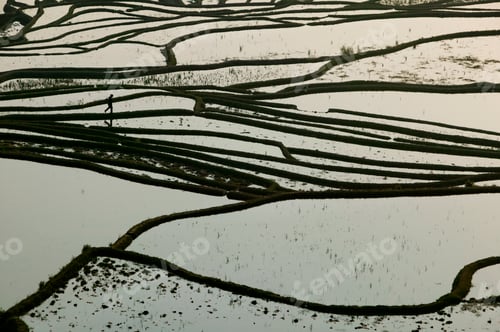 Preview: Terraced rice paddy, Yunnan Province, China.