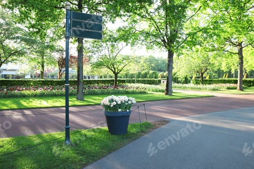 Preview: Park with variety of beautiful flowers and guide sign on sunny day. Spring season