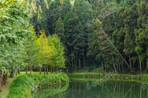 Preview: Beautiful view of the Sun link sea forest recreation area in Nantou, Taiwan