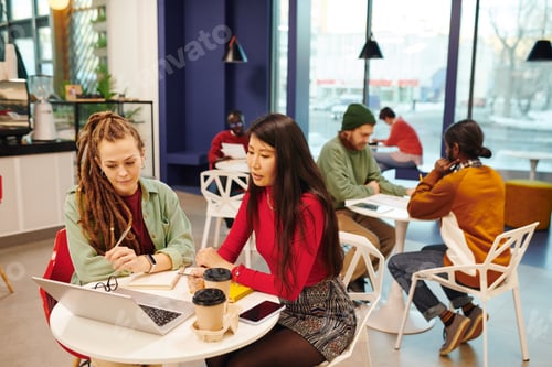 Preview: Two young intercultural businesswomen working over presentation together