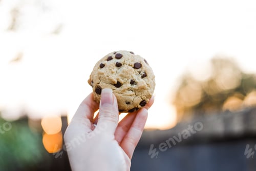 Preview: A woman’s hand holding up a cookie at sunset