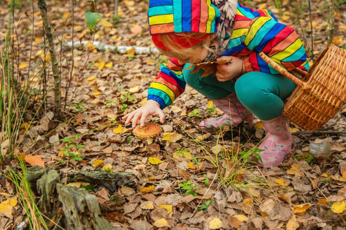 Preview: Child and fly agaric in the forest. Selective focus.