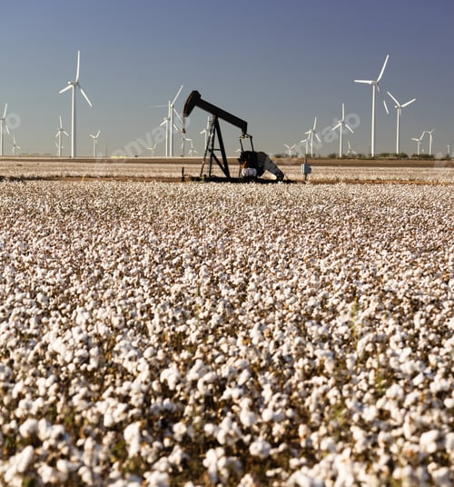Preview: Texas Cotton Filed Textile Agriculture Oil Industry PumpJack