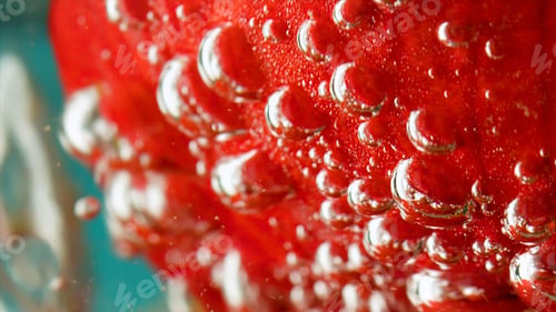 Preview: Close up of soft red flower petals inside glass container with transparent water. Stock footage