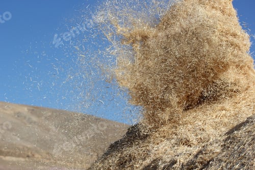 Preview: Harvest