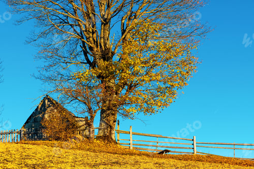 Preview: Old wooden house built on grassy hill against mountains