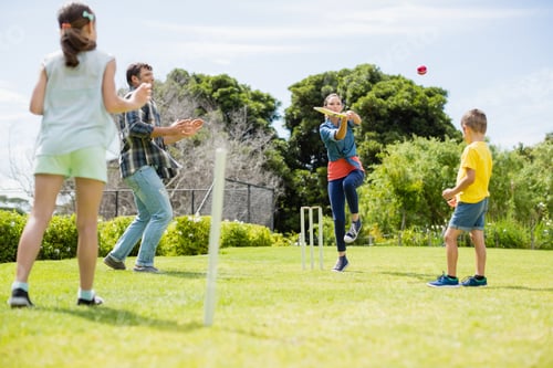 Preview: Family playing cricket in park