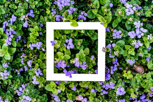Preview: creative idea of exotic flower pattern top view flat lay d