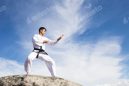 Preview: Man doing martial arts poses on a rock