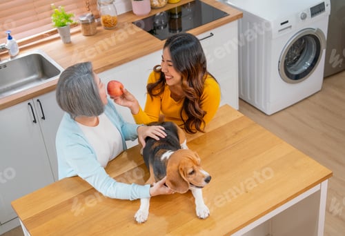 Preview: Top view of Asian young girl give apple to senior woman as mother and stay with beagle dog