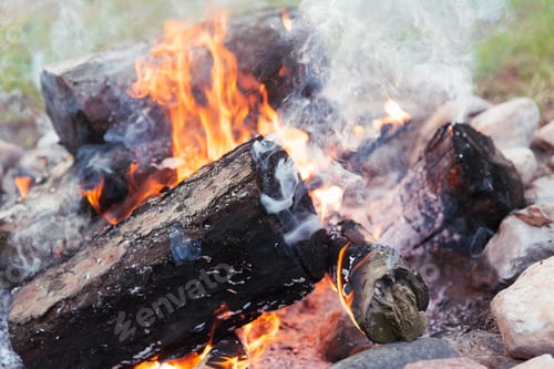 Preview: Bonfire On A Backyard