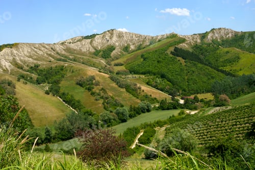 Preview: Rural landscape on the hills near Riolo Terme and Brisighella