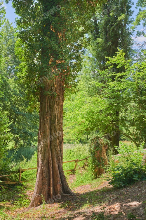 Preview: A series of photos of countryside, farmland and forest close to Lyon, France