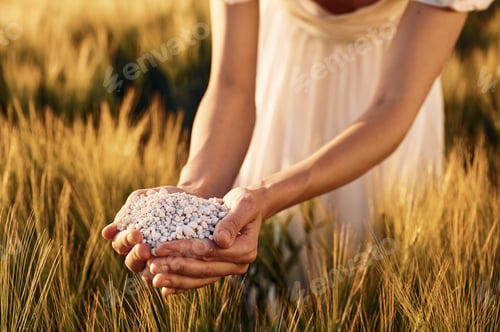 Preview: Natural component. Close up view of perlite in woman's hands that is on the agricultural field
