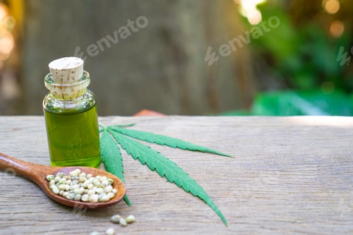 Preview: Glass bottles containing hemp oil and seeds and plants, ecology, marijuana, herbs, medicine, cbd oil