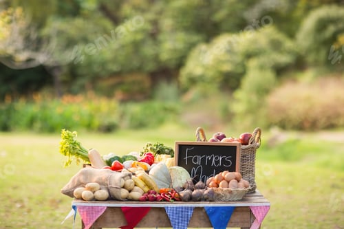 Preview: Table with locally grown vegetables in the park