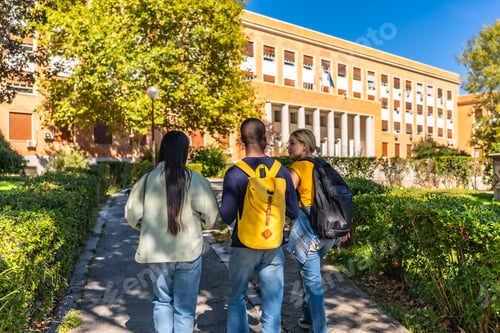 Preview: Rear view of three students walking to the university