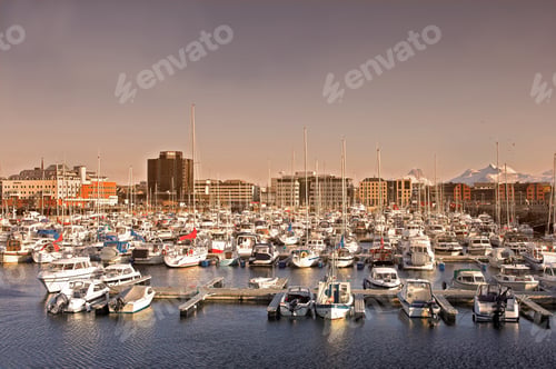 Preview: In the harbour. Shot of the harbour.