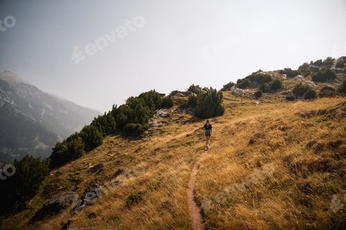 Preview: A hiker follows a winding trail through golden grass fields under the soft summer sun,