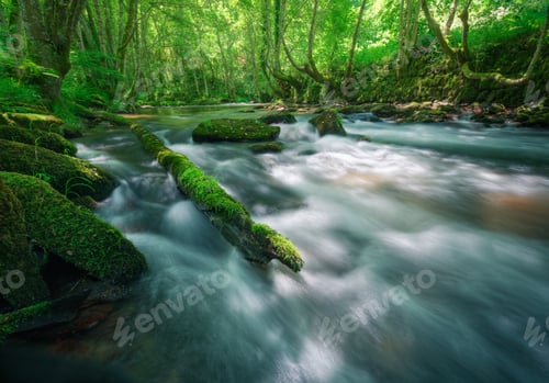 Preview: A mossy log in the flow of a river between oak trees