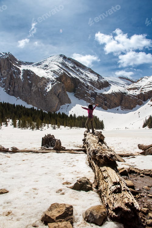 Preview: Woman with open arms on a tree trunk looking at the snowy glacier lagoon and mountains, nature