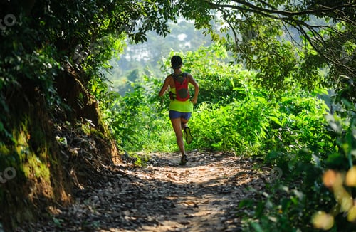 Preview: Young woman trail runner running in sunrise tropical forest