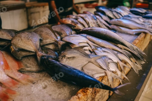 Preview: Various fish stall at the fish market