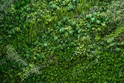 Preview: Close-up of vibrant green leaves with rich textures, forming a fresh, exotic botanical pattern.
