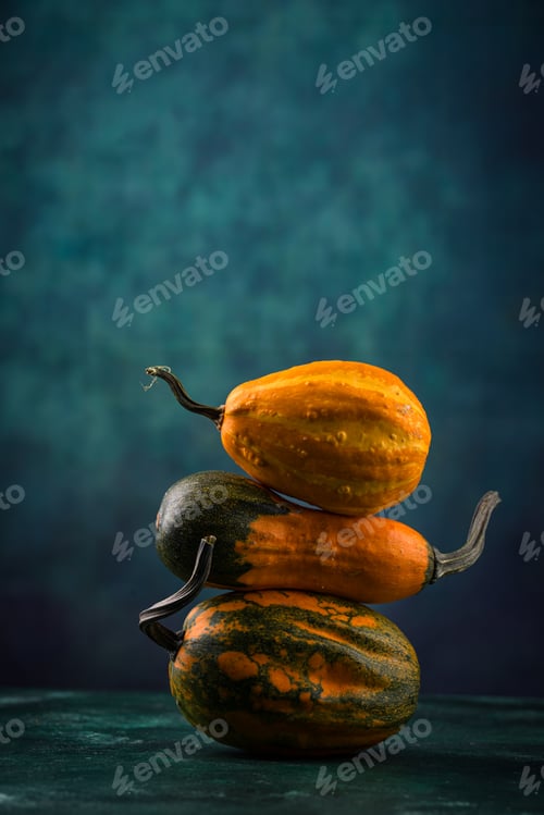 Preview: Various decorative pumpkin on green background