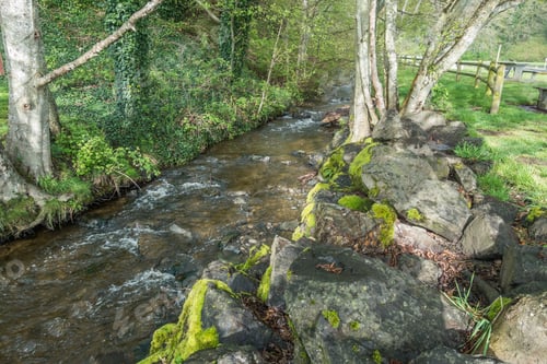 Preview: A View Of Mcsorley Creek At Saltwater State Park In Des Moines, Washington.