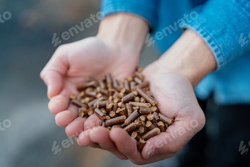 Preview: Handful of wood pellets in palms. Man holding pellet fuels in hands, palms. Reusing wooden