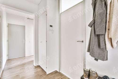 Preview: Entrance and hallway of modern apartment