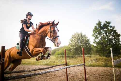 Preview: Young female jockey on horse leaping over hurdle
