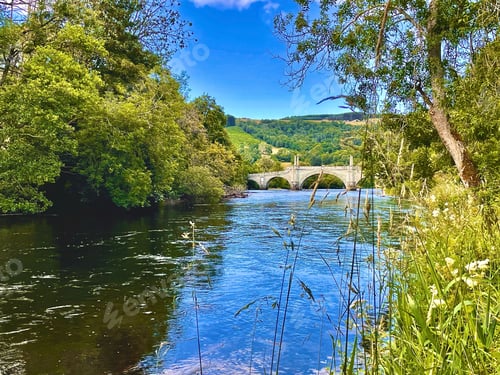 Preview: Stream of crystal clear water, surrounded by lush green trees in a tranquil setting